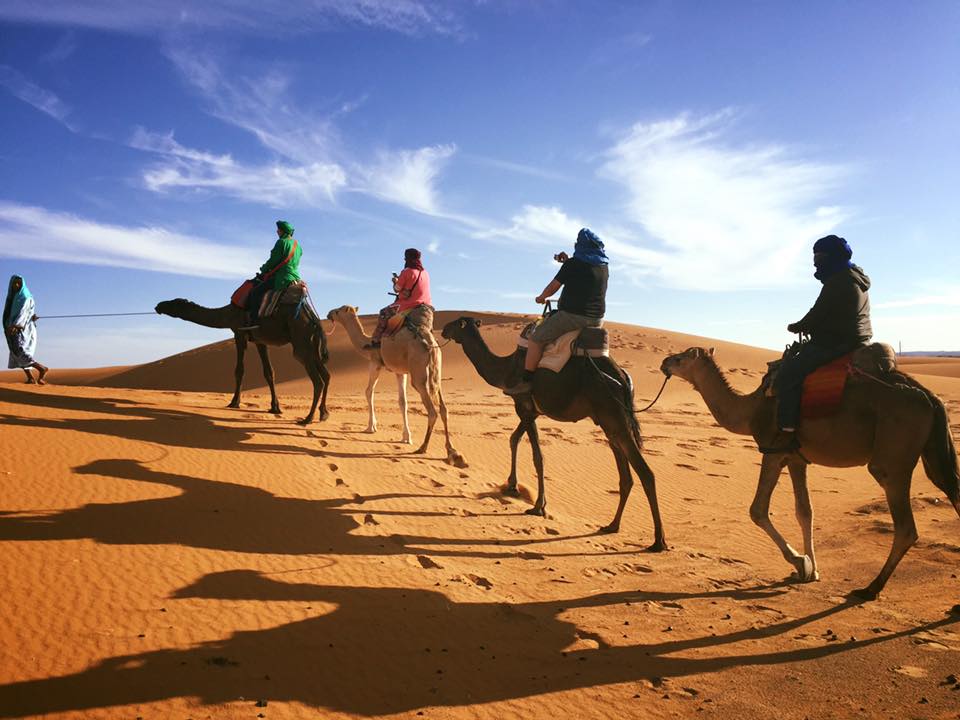 Morocco Tours Services - Private Morocco Excursions - Tours From 